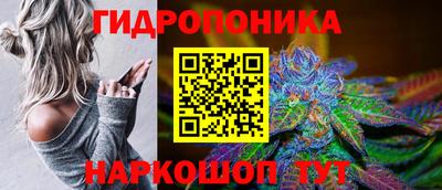 амф Моздок