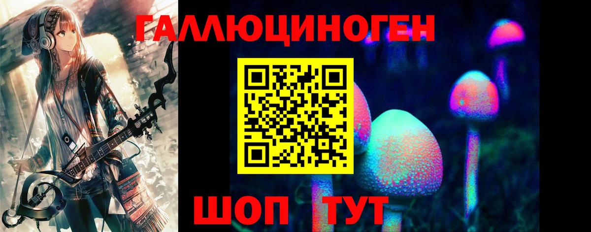Урюпинск  Псилоцибиновые грибы Cubensis  Вход с VPN  Галлюциногенные грибы Cubensis 